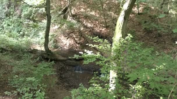 Hiking Wolfsschlucht Engl Wolf Gorge Eifel Region Germany Stream Flowing — Stock Video