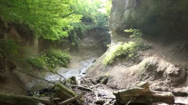  Hiking içinde Wolfsschlucht (engl. Kurt gorge) Almanya'da Eifel bölgesinde. Bir kanyon şekillendirme yumuşak volkanik kayaların akan dere.