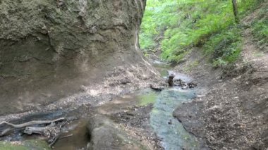  Hiking içinde Wolfsschlucht (engl. Kurt gorge) Almanya'da Eifel bölgesinde. Bir kanyon şekillendirme yumuşak volkanik kayaların akan dere.