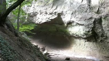  Hiking içinde Wolfsschlucht (engl. Kurt gorge) Almanya'da Eifel bölgesinde. Bir kanyon şekillendirme yumuşak volkanik kayaların akan dere.