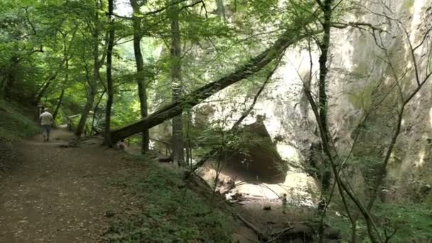 莱茵兰 2018年8月23日 徒步旅行在 Wolfsschlucht Engl 狼峡谷 Eifel 地区在德国 流经软火山岩形成峡谷的溪流 — 图库视频影像