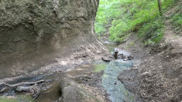 Túrázás Belül Wolfschlucht Engl Wolf Gorge Eifel Régióban Németországban Patak — Stock videók