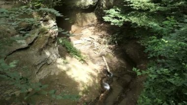  Hiking içinde Wolfsschlucht (engl. Kurt gorge) Almanya'da Eifel bölgesinde. Bir kanyon şekillendirme yumuşak volkanik kayaların akan dere.