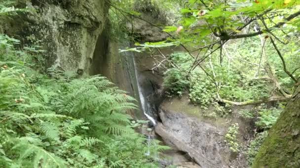 Hiking Wolfsschlucht Engl Wolf Gorge Eifel Region Germany Stream Flowing — Stock Video
