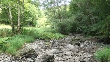 Ahrbach (Ahr çayı) su Dreimuehlen (üç fabrikaları) yanında Vulkan kuru eifel bölge (Almanya). aşırı kuru yaz. kayalar Devoniyen yaş mercan fosiller ile.