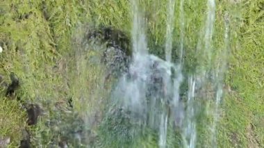 Traverten şelale Dreinmuehlen (engl. üç fabrikaları) Nohn Vulcan Eifel bölgesi (Almanya)