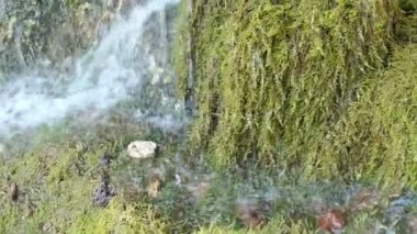 Traverten şelale Dreinmuehlen (engl. üç fabrikaları) Nohn Vulcan Eifel bölgesi (Almanya)