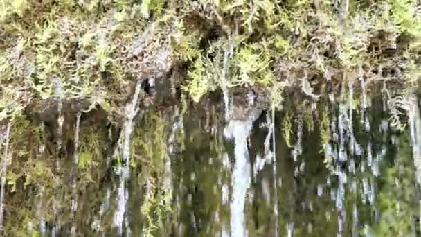 Травертинный Водопад Дрейнмюлен Англ Три Завода Регионе Ницца Германия — стоковое видео