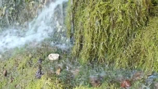 Cachoeira Travertino Dreinmuehlen Engl Três Usinas Nohn Região Vulcan Eifel — Vídeo de Stock