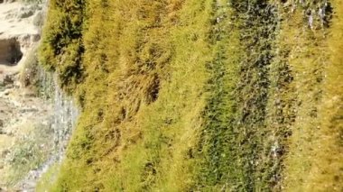 Traverten şelale Dreinmuehlen (engl. üç fabrikaları) Nohn Vulcan Eifel bölgesi (Almanya)