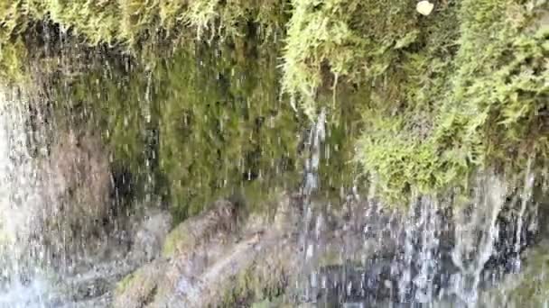 Travertine Waterfall Dreinmuehlen Engl Three Mills Nohn Vulcan Eifel Region — Stock Video