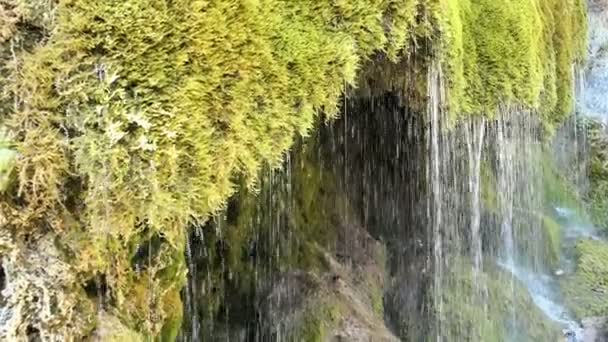 Cascata Travertino Dreinmuehlen Engl Tre Mulini Nohn Nella Regione Vulcan — Video Stock