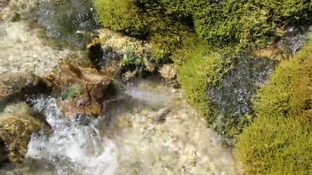 Travertin Vattenfall Dreinmuehlen Engl Tre Mal Nohn Vulcan Eifel Regionen — Stockvideo