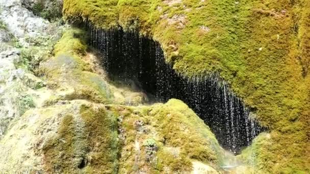 Travertine Waterfall Dreinmuehlen Engl Three Mills Nohn Vulcan Eifel Region — Stock Video