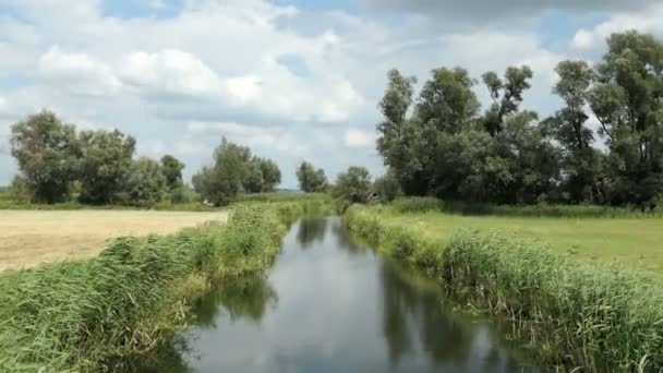 Havel Rivierlandschap Zomertijd Havelland Brandenburg Wilgen Lang Rivier — Stockvideo