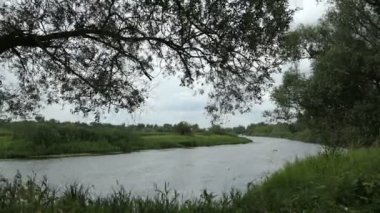 Havel Nehri manzara Havelland (Brandenburg Almanya) yaz döneminde. Söğüt ağaçları nehir uzun.