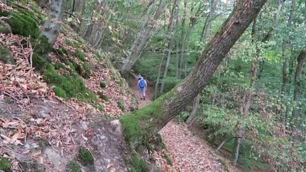 Klotten Rhineland Palatinate Germany Agustus 2018 Hiker Hiking Dortebachtal Valley — Stok Video