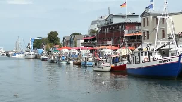 バルネミュンデ メクレンブルク フォアポンメルン州 ドイツ 2018 バルネミュンデそのワルノー川川港のボートそして船を眺める ドイツのバルト海の町 — ストック動画