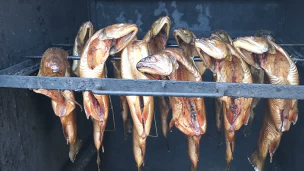 ปลาสดรมคว นปลาเทราท ในเตาอบ โรงรมคว — วีดีโอสต็อก