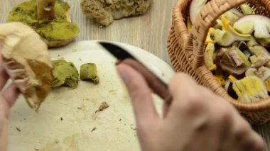 Penny topuz mantar Temizleme eller. mevsimlik gıda