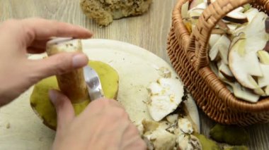 Penny topuz mantar Temizleme eller. mevsimlik gıda