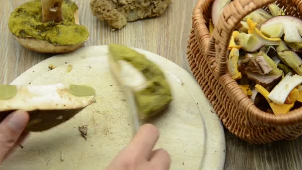 Mãos Limpando Cogumelo Pão Centavo Alimentos Sazonais — Vídeo de Stock