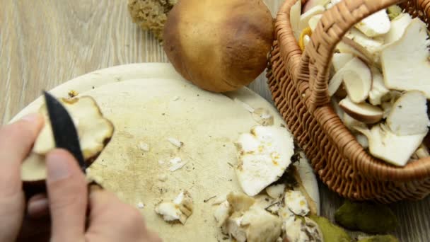 Ręce Czyszczenia Penny Bun Grzyb Sezonowa Żywność — Wideo stockowe