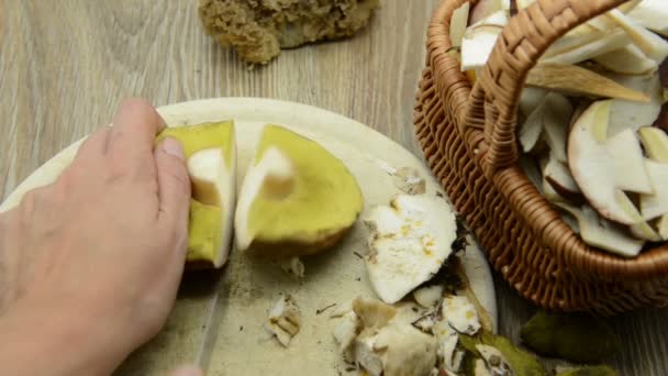 Hands Cleaning Penny Bun Mushroom Seasonal Food — Stock Video