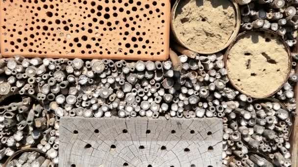 Wild Bees Flying Front Insect Hotel Solitary Wild Bee Protection — Stock Video