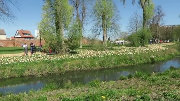 Wittstock Dosse Brandebourg Allemagne Avril 2019 Paysage Urbain Ville Wittstock — Video