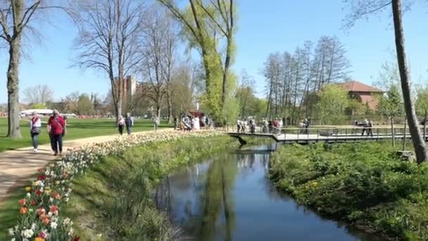 Wittstock Dosse ブランデンブルク ドイツ21 4月2019 ドイツの町Wittstock Dosseの街並み 小川が流れる小さな公園を歩く人々 春にチューリップが咲く — ストック動画