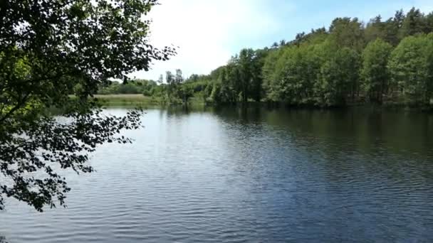 Lake Landschap Zomertijd Platteland Havelland Duitsland — Stockvideo