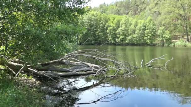 Paisaje Del Lago Verano Campo Havelland Alemania — Vídeos de Stock