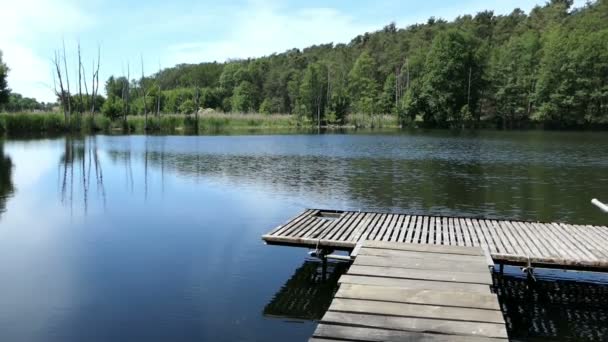 Lake Nombra Trintsee Havelland Alemania Paisaje Verano Con Caña Bosque — Vídeo de stock