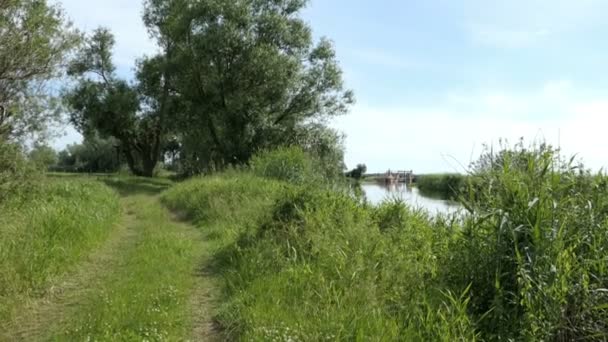 Paisagem Rio Havel Havelland Distrito Brandemburgo Alemanha Hora Verão Salgueiros — Vídeo de Stock
