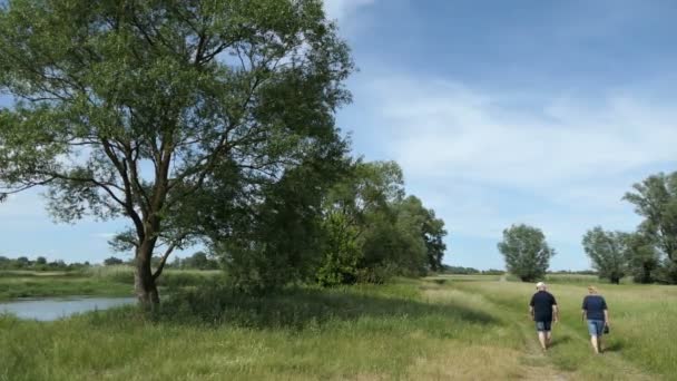 Guelpe Brandenburg Germany June 2019 Couple Hiking Small Path Meadows — Stock Video