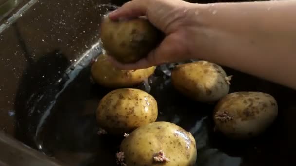 Wassen Van Rauwe Aardappel Onder Water — Stockvideo