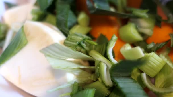 Čerstvé Řezané Pórek Spadne Mísy Jinými Přísadami Zeleninové Polévky — Stock video