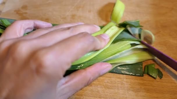 Cutting Leek Slices Soup — Stock Video