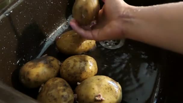 Wassen Van Rauwe Aardappel Onder Water — Stockvideo