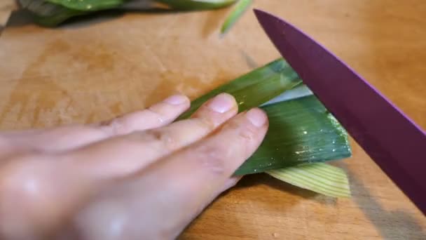 Snijden Prei Plakjes Voor Een Soep — Stockvideo