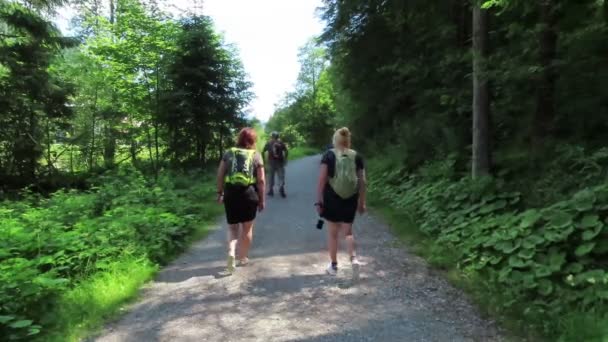 Gerlos Tirol Áustria Julho 2019 Grupo Idosos Caminhando Longo Uma — Vídeo de Stock
