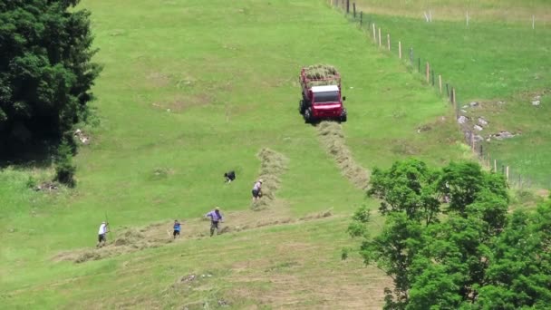 ゲロス チロル オーストリア 2019 村ゲロスチロルの農地で伝統的な干し草の収穫中の人々 オーストリア — ストック動画