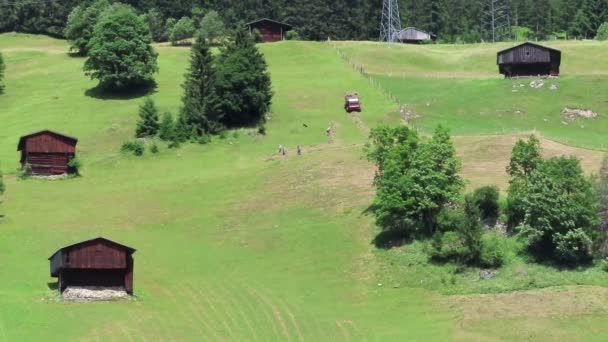 Gerlos Tirol Österrike Juli 2019 Människor Traditionell Skörd Jordbruksmark Byn — Stockvideo