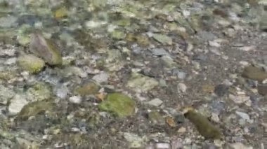 Gerlos akarsu akan. Nehrin toprağa kayalar.