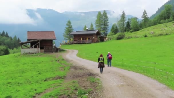 Wimmertal Tirol Austria Lipiec 2019 Ludzie Wędrują Wzdłuż Doliny Wimmertal — Wideo stockowe