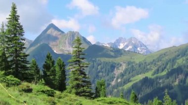 Tirol Avusturya Yüksek tauern dağları. Karla kaplı dağlar. Vahşi vadi.