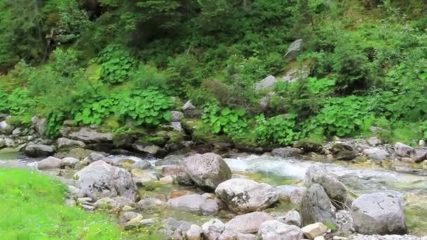 Fluxo Krummbach Fluindo Através Alpes Austríacos Vale Zillertal Tauerna Alta — Vídeo de Stock