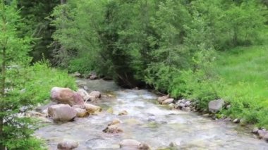 Krummbach deresi Zillertal vadisindeki Avusturya Alpleri'nden akar. Yüksek tauern.