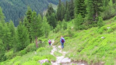 Krummbachtal, Tirol/ Avusturya: 11 Temmuz 2019: Tirol Avusturya'daki Krummbachtal vadisinde yürüyüş yapanlar.